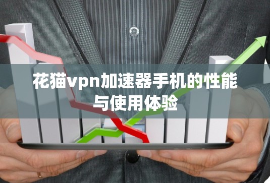 花猫vpn加速器手机的性能与使用体验