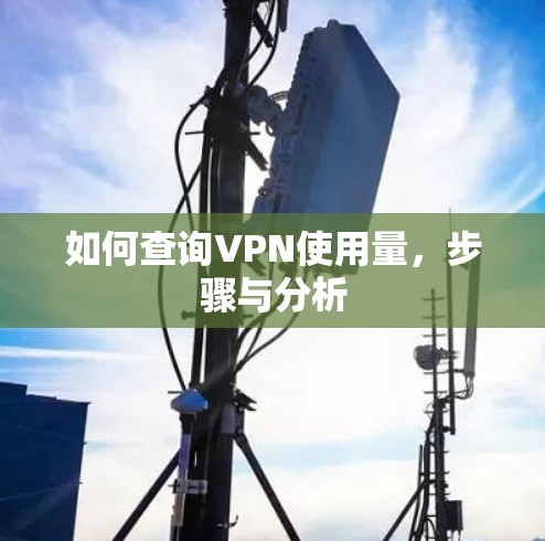 如何查询VPN使用量，步骤与分析