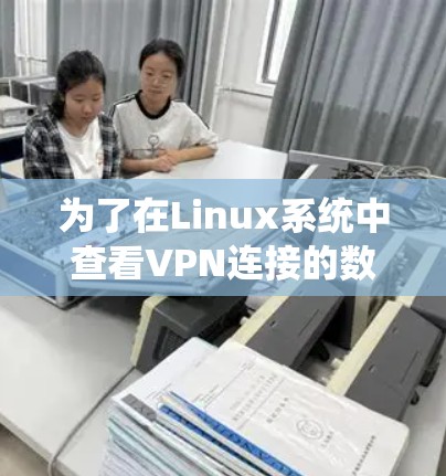 为了在Linux系统中查看VPN连接的数量,您可以按照以下步骤操作 为了在Linux系统中查看VPN连接的数量,您可以按照以下步骤操作