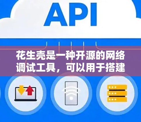 花生壳是一种开源的网络调试工具,可以用于搭建和测试网络环境。虽然它主要用于网络调试,但它也可以用于学习和理解VPN技术。以下是一个简单教程,帮助你学习如何使用花生壳搭建VPN 花生壳是一种开源的网络调试工具,可以用于搭建和测试网络环境。虽然它主要用于网络调试,但它也可以用于学习和理解VPN技术。以下是一个简单教程,帮助你学习如何使用花生壳搭建VPN