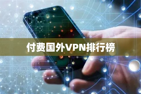 付费国外VPN排行榜