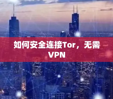 如何安全连接Tor,无需VPN 如何安全连接Tor,无需VPN