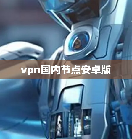 vpn国内节点安卓版