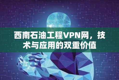 西南石油工程VPN网,技术与应用的双重价值 西南石油工程VPN网,技术与应用的双重价值
