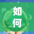 如何高效获取VPN服务器，从入门到高级配置