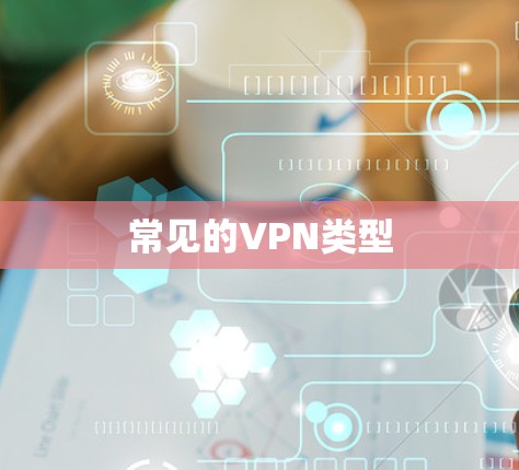 常见的VPN类型