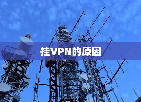 挂VPN的原因