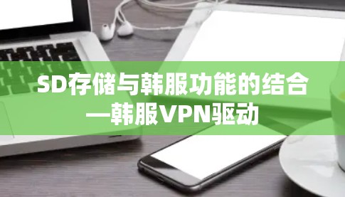 SD存储与韩服功能的结合—韩服VPN驱动