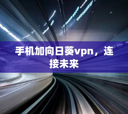手机加向日葵vpn，连接未来