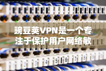 豌豆荚VPN是一个专注于保护用户网络敏感信息和数据的安全软件,非常适合那些需要加密微信、QQ、支付宝等应用数据的用户。以下是一个详细的使用指南,帮助你了解如何使用豌豆荚VPN
