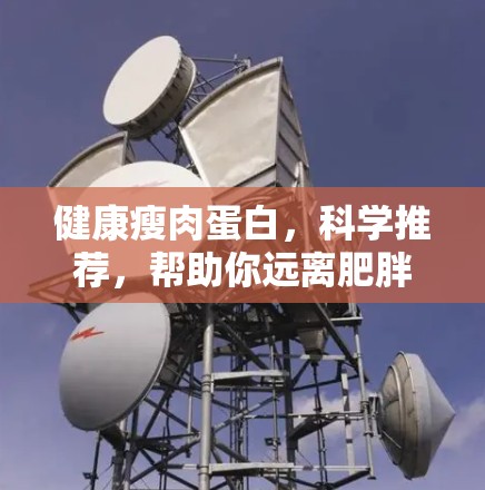 健康瘦肉蛋白，科学推荐，帮助你远离肥胖