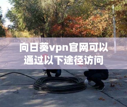 向日葵vpn官网可以通过以下途径访问