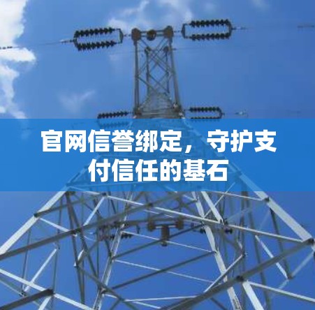 官网信誉绑定,守护支付信任的基石