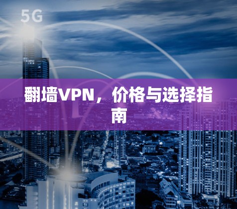 翻墙VPN,价格与选择指南