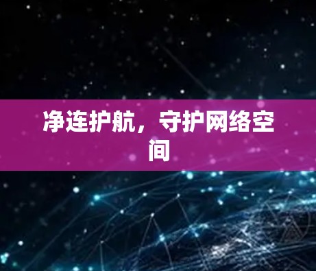 净连护航,守护网络空间 净连护航,守护网络空间