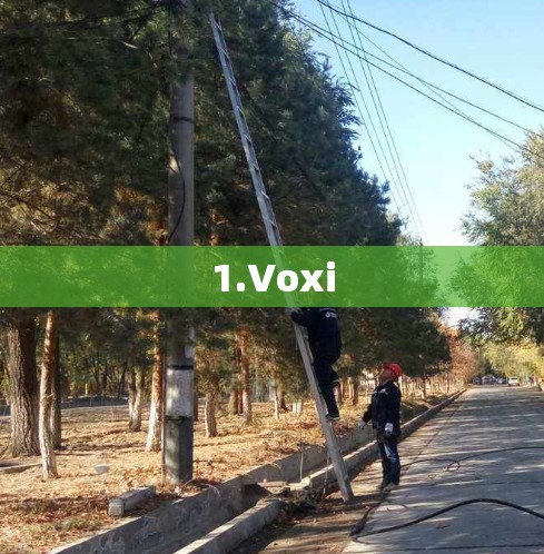 1.Voxi 1.Voxi