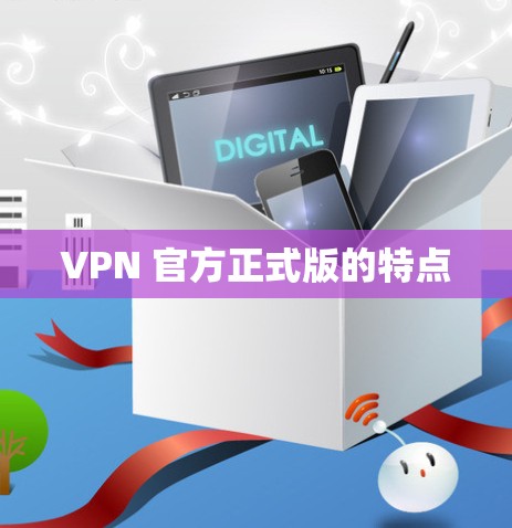 VPN 官方正式版的特点