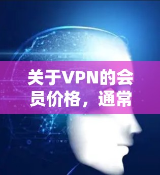 关于VPN的会员价格，通常包括以下内容