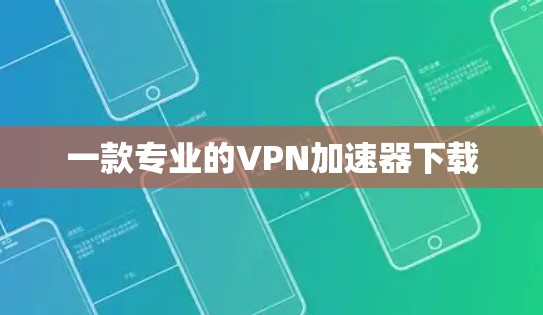 一款专业的VPN加速器下载