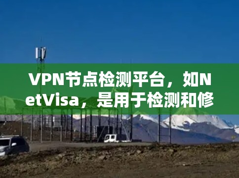 VPN节点检测平台,如NetVisa,是用于检测和修复网络中的恶意软件的工具。以下是对VPN节点检测平台的详细总结 VPN节点检测平台,如NetVisa,是用于检测和修复网络中的恶意软件的工具。以下是对VPN节点检测平台的详细总结