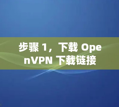 步骤 1,下载 OpenVPN 下载链接 步骤 1,下载 OpenVPN 下载链接
