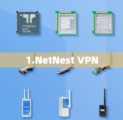 1.NetNest VPN 1.NetNest VPN