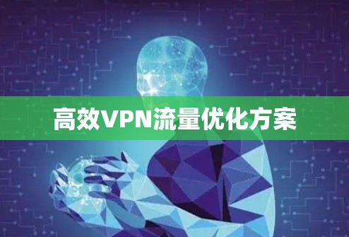 高效VPN流量优化方案