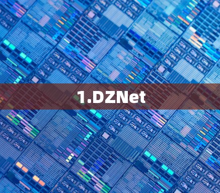 1.DZNet 1.DZNet